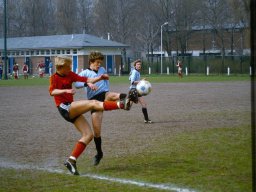 0DIA 1984 RAVA B1